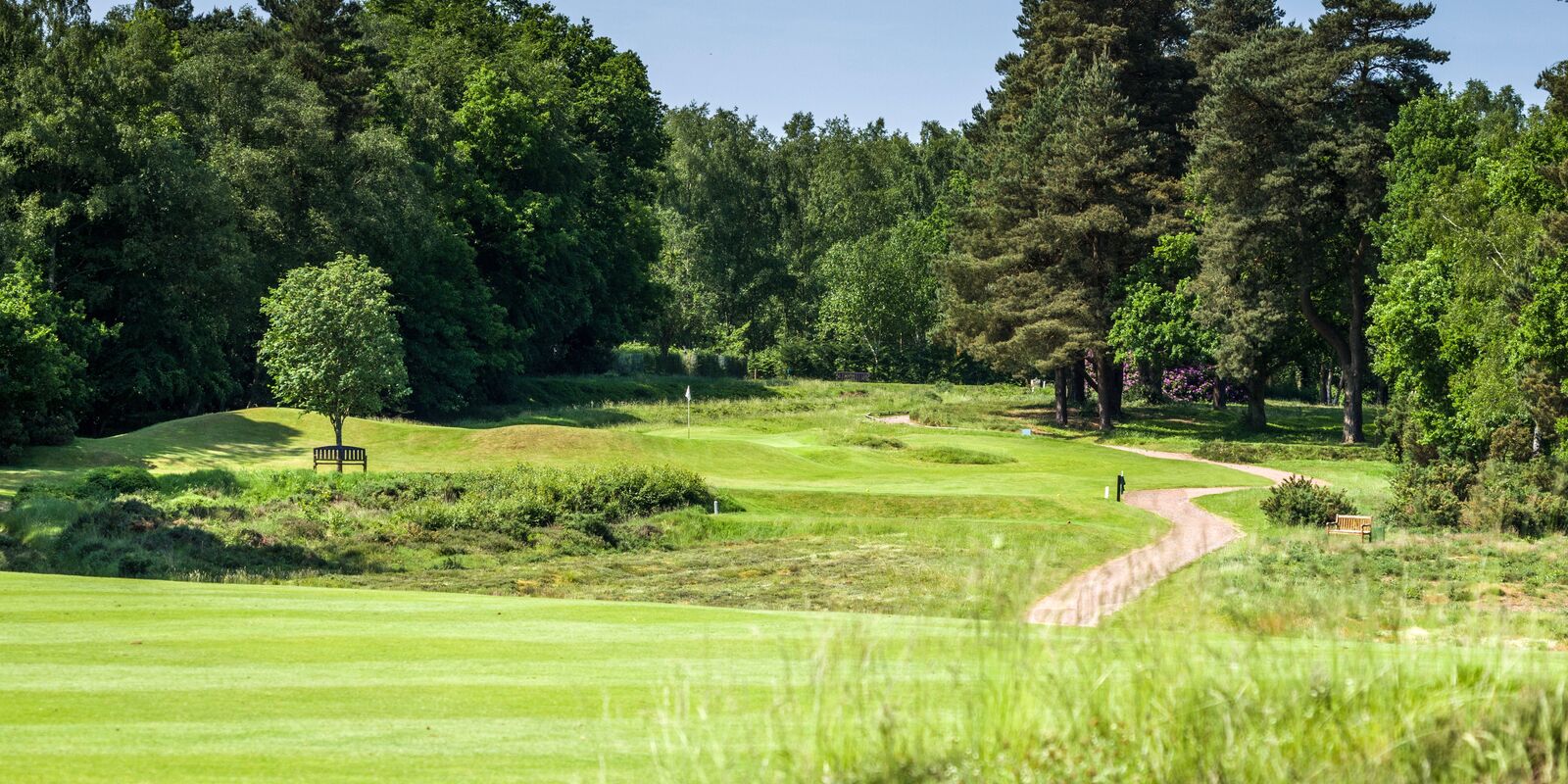 Home Liphook is a traditional golf club with one of the best courses