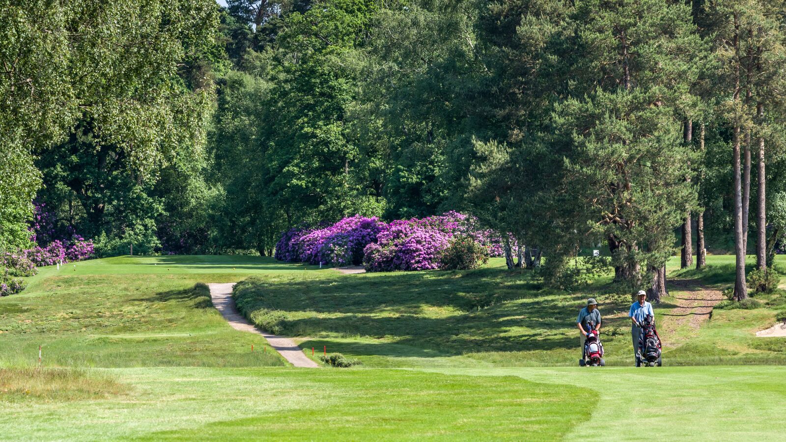 Liphook Golf Club Slope Rating at Teresa Joshi blog