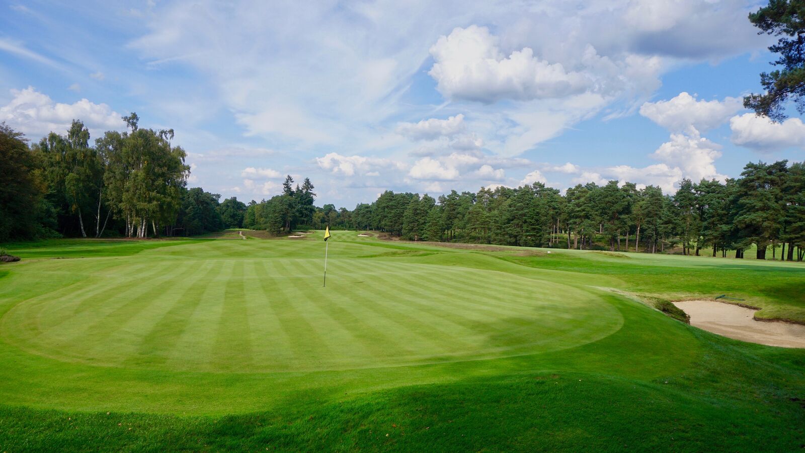 12 Liphook is a traditional golf club with one of the best courses