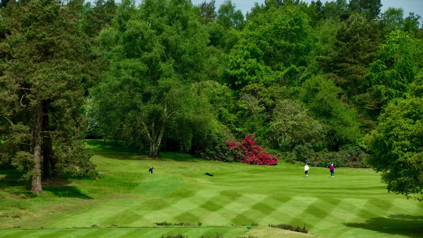 1 Liphook is a traditional golf club with one of the best courses in