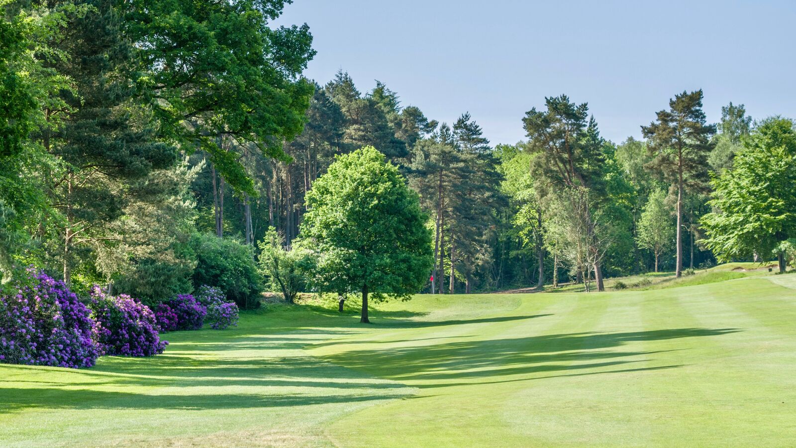 2 Liphook is a traditional golf club with one of the best courses in