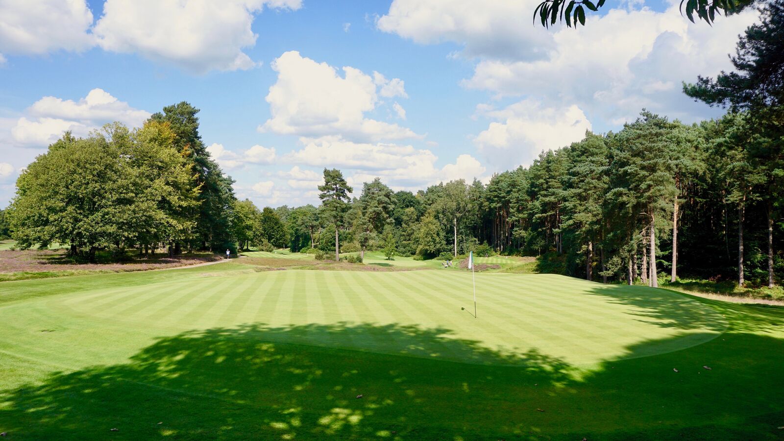 3 Liphook is a traditional golf club with one of the best courses in