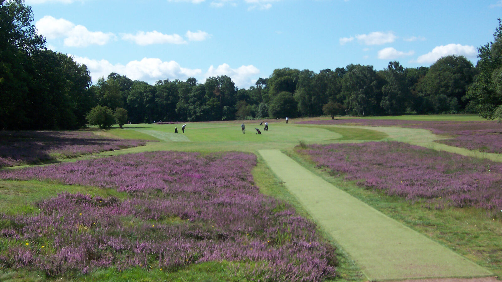 5 Liphook is a traditional golf club with one of the best courses in