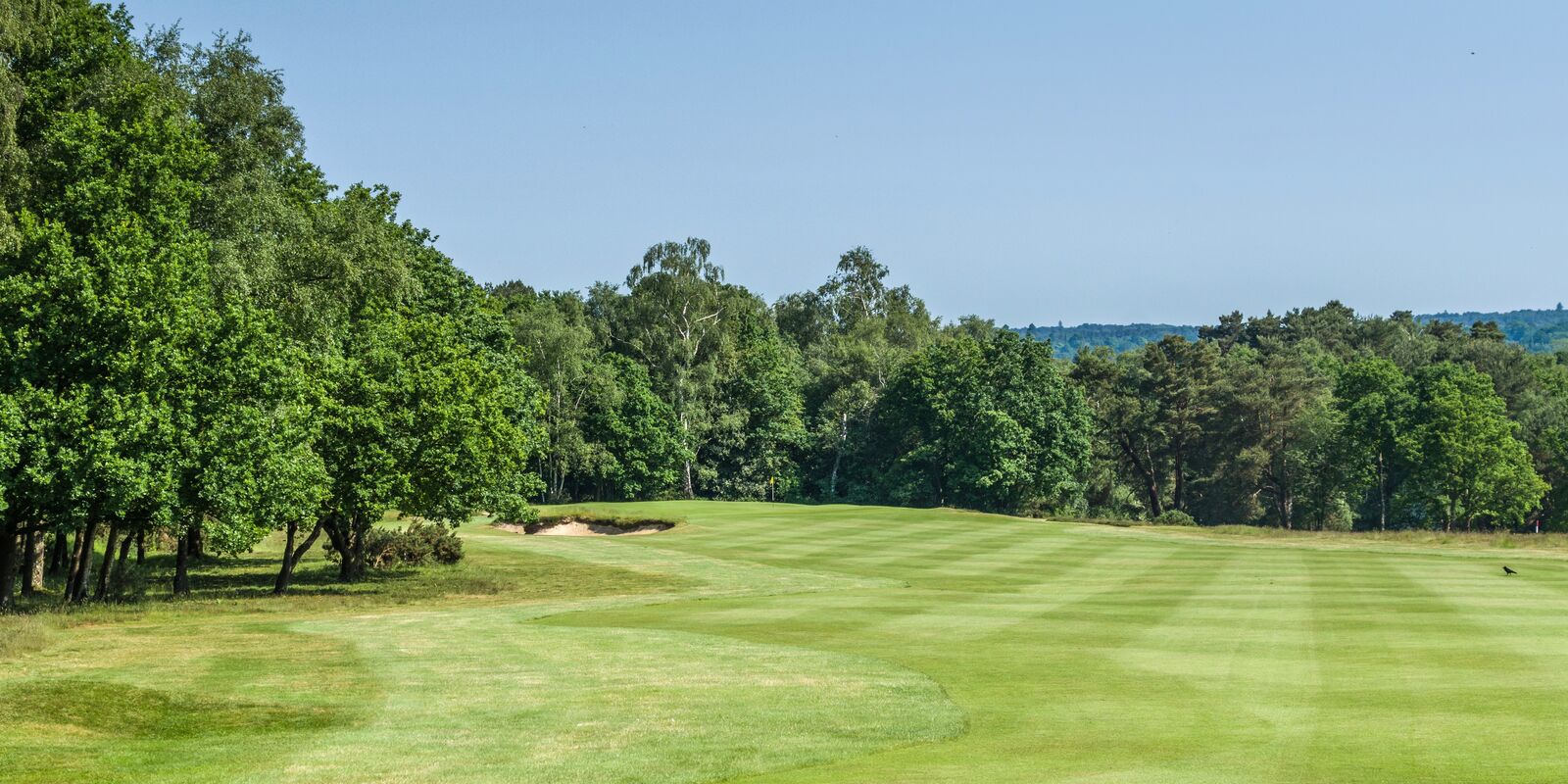 Photo Gallery Liphook is a traditional golf club with one of the best courses in the country
