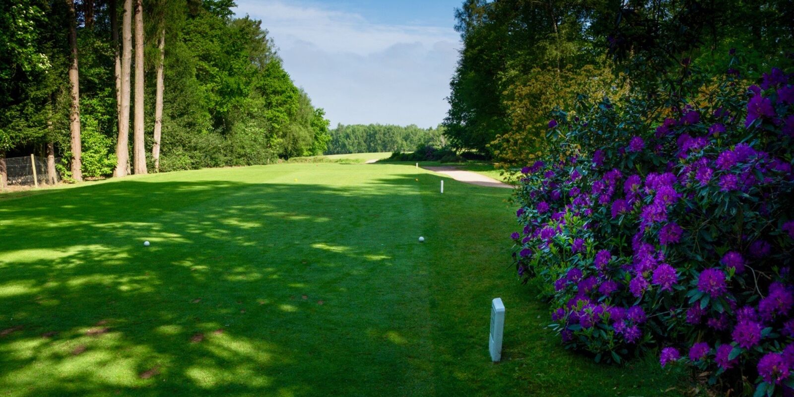 Photo Gallery Liphook is a traditional golf club with one of the