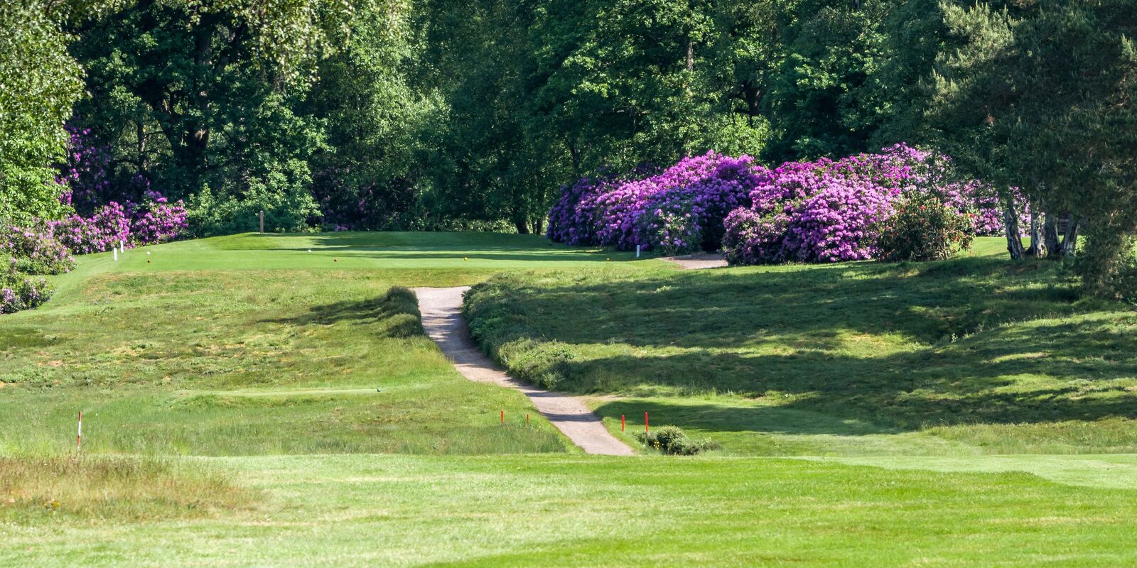 Photo Gallery Liphook is a traditional golf club with one of the