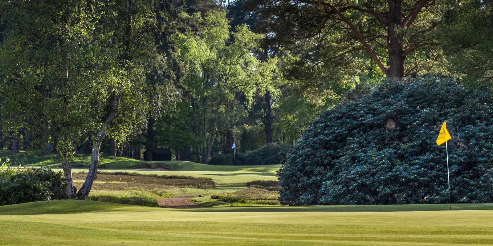 Home Liphook is a traditional golf club with one of the best courses