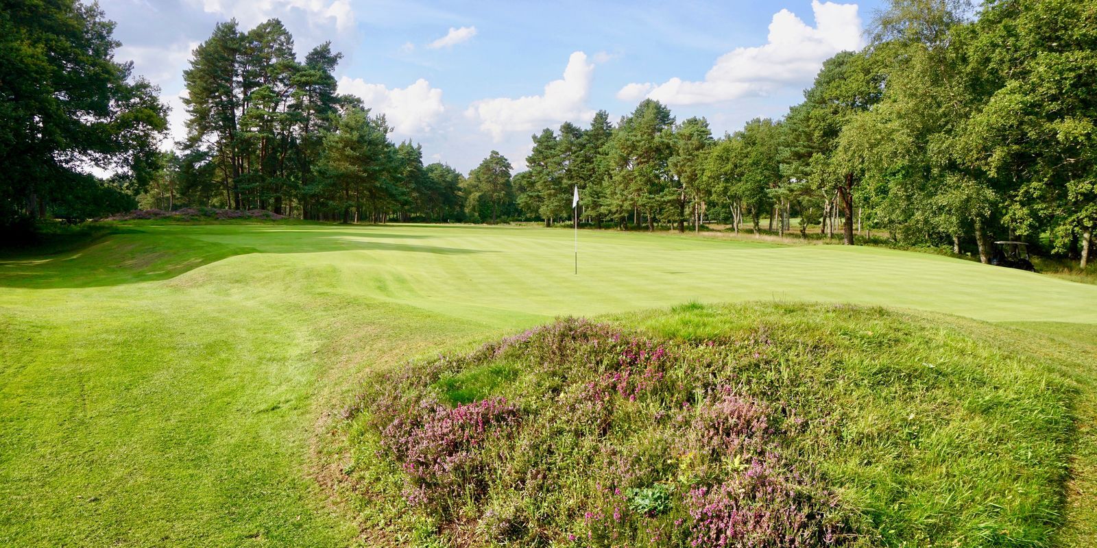 Home Liphook is a traditional golf club with one of the best courses in the country. Opened