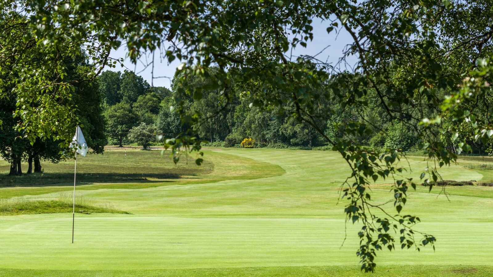 6 Liphook is a traditional golf club with one of the best courses in